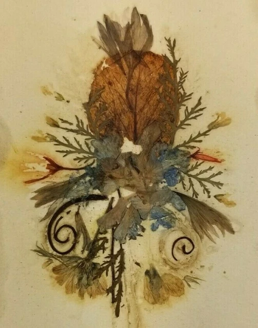 Holy Land flowers dried on card de Gethsemani Posees sur le St. Sepulcre  E1B