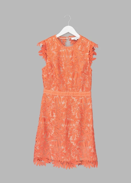 Reiss coral lace best sale dress