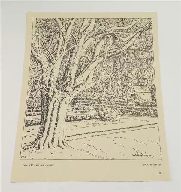 BAYNES Illustration, from a Pen & Ink Drawing (1920 Lithograph)