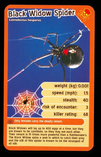1 x info card deadliest predator Black Widow Spider - R114