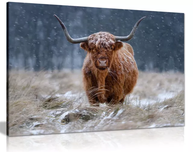 Brown Highland Cow in Snow Fields Framed Canvas Print Wall Art Home Decor