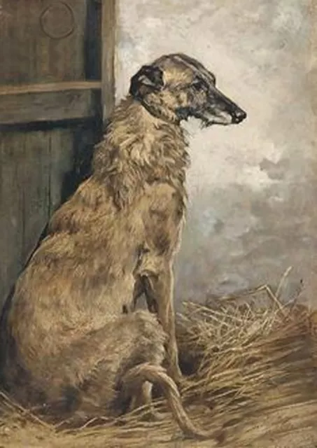 Deerhound Beautiful Sitting Dog Greetings Note Card