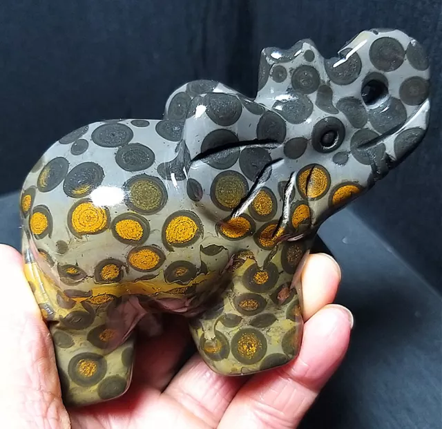 TOP 346G Natural Polished Leopard print Elephant Agate Hand-carved Healing A2419