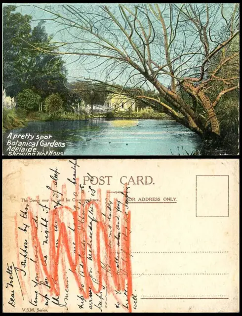 Australia Old Colour Postcard Adelaide Botanical Gardens Hot House A Pretty Spot