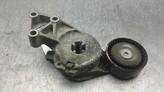 06A903315F Tendeur De Courroie Auxiliaire Pour Volkswagen Golf Plus 5M1 1463458