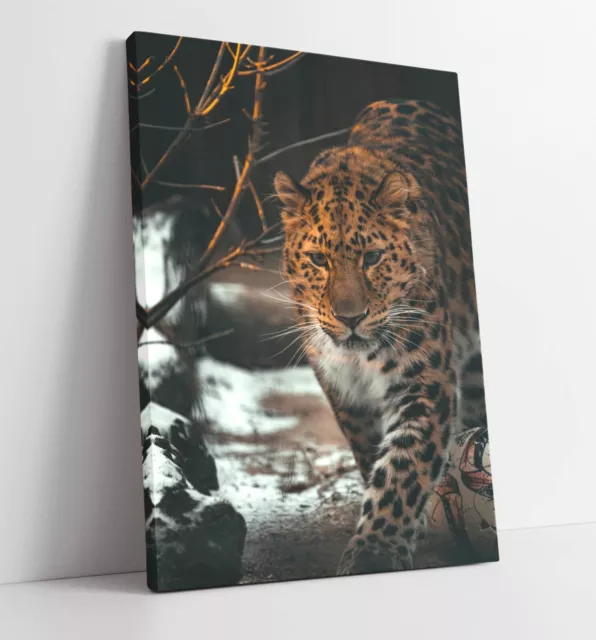 Snow Leopard Close-Up Photography -Canvas Wall Artwork Picture Print