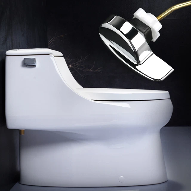 INTERRUPTEUR DE TOILETTE bouton-poussoir remplacement toilette double