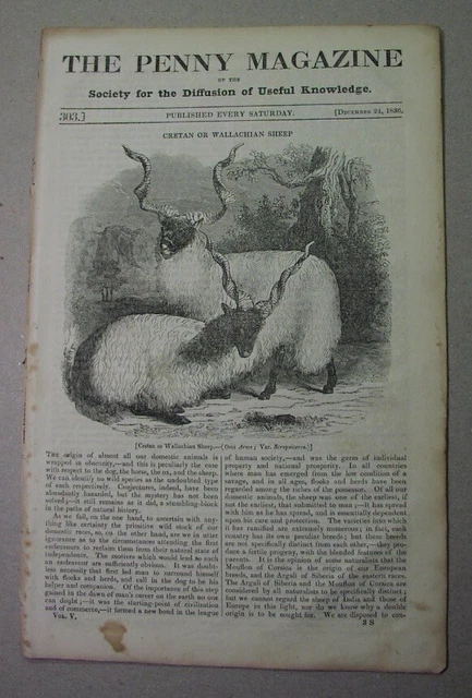 1836: Wallachian SHEEP Cretan; STOCKHOLM; lead mining in UK by the Romans