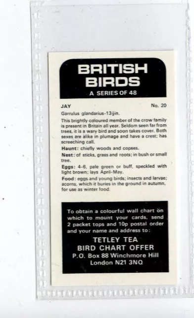 (Jd4209) TETLEY,BRITISH BIRDS,JAY,1970,#20 2