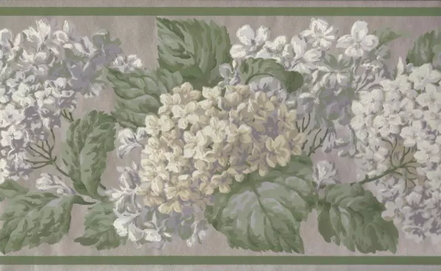 Wallpaper Border White Lavender Beige Hydrangeas on Taupe With a Green Border