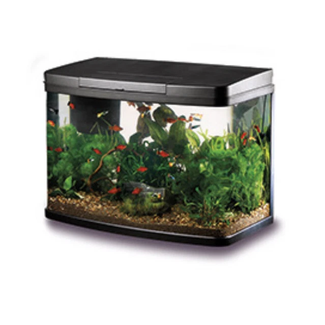 40l panorama love fish tank aquarium