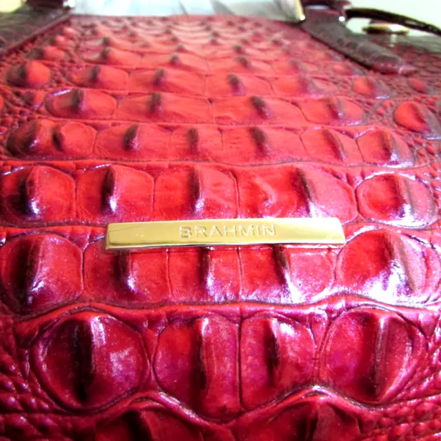 Brahmin hotsell wine tote