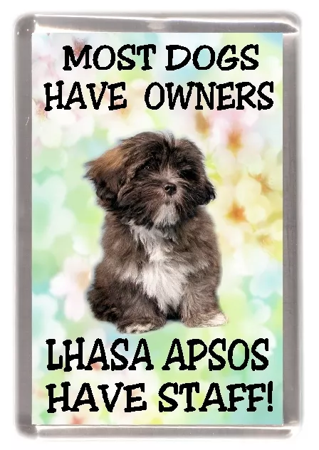 Lhasa Apso Dog Fridge Magnet (2) "Most Dogs Have Owners Lhasa Apsos Have Staff"