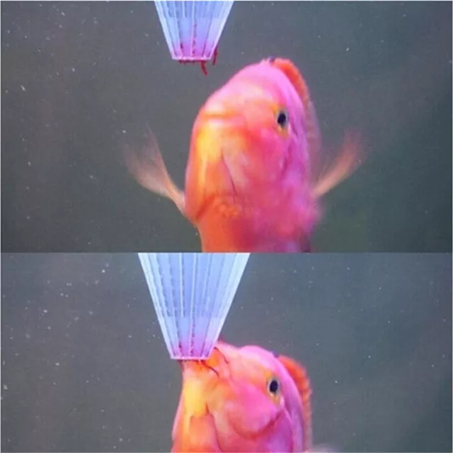 4x Aquarium Red Worm Feeder Cone Feeding for Fish Tank Angel Fish Discus FisN``f