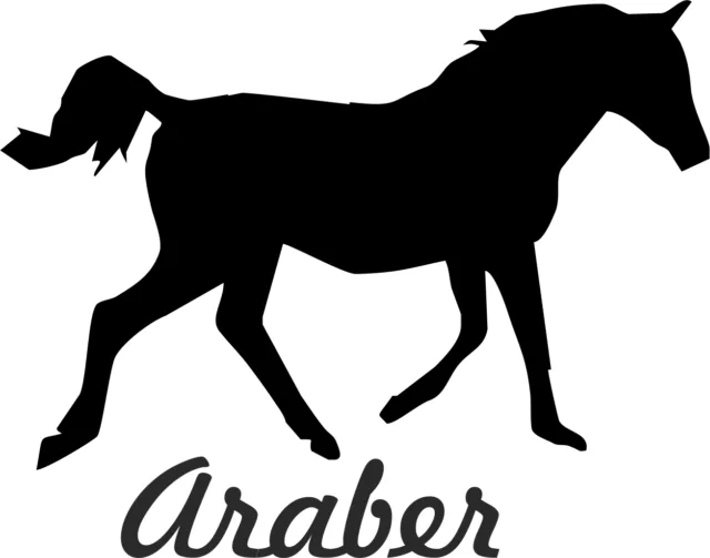 2 x Auto Aufkleber ARABER Pferd 2x Car Sticker Arabian Horse ww. shipping