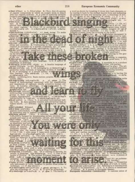 Blackbird Singing Beatles Altered Art Print Upcycled Vintage Dictionary Page