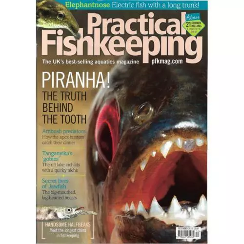 Practical Fishkeeping Magazine December 2018 Issue 12 PFK Mag Piranha Halfbeaks