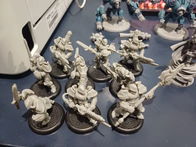 Cygnar Army Warmachine Privateer Press Hordes Starter Army