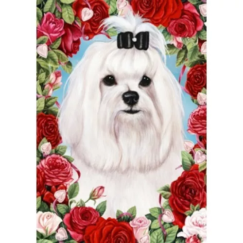 Roses Garden Flag - Maltese (Show) 192221