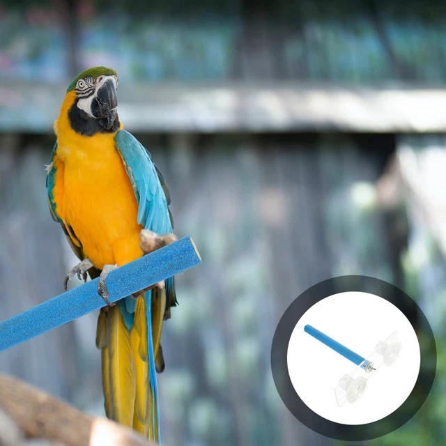 Rod Bird PARROT CAGE STANDING Rod Wooden Bird Stick Bird Standing Rod Bird ...