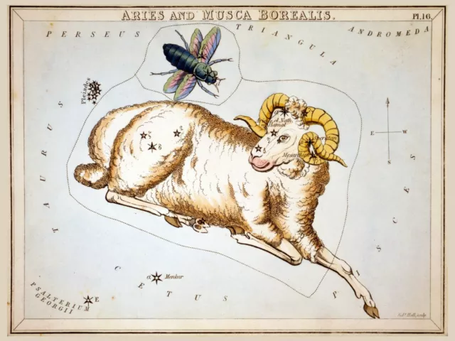 7950.Decorative Poster.Home room design wall decor.Aries.Horoscope.Astrology art