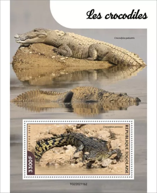 Togo - 2022 Saltwater Crocodiles - Briefmarke Souvenir Blatt - TG220211b2