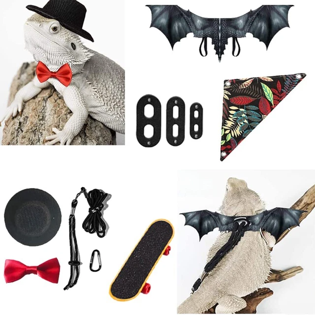 New Lizard Leash and Bearded Dragon Wings, Reptile Hammock, Bearded Dragon Hat