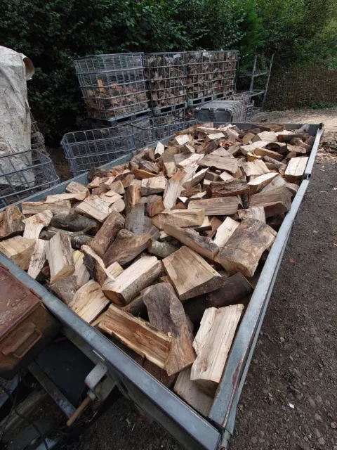 🔥Bulk Trailer Load Of Seasoned Firewood /Logs/Wood-burner🔥 Local delivery... 2