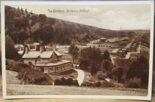 Irish RPPC Postcard Tea Gardens BELLEVUE Hazelwood BELFAST Northern Ireland RP