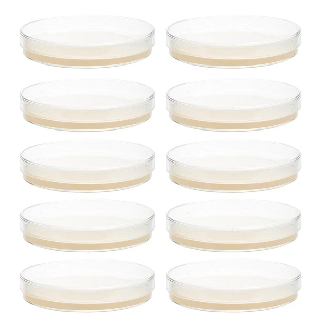10 Pcs Petri Plates Party Supplies Agar Child Scientists Petri Dish