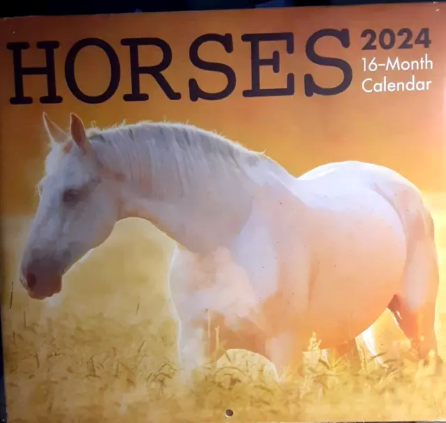 HORSES- 2024 Wall Calendar 16 month 11" X 20" open LOWER PRICE