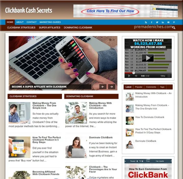 Clickbank Marketing - Established Profitable Turnkey WordPress Website for Sale