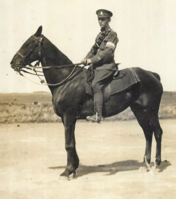 WW1 Inter War Photo Postcard Military Soldier Horse Larkhill Wiltshire 1923