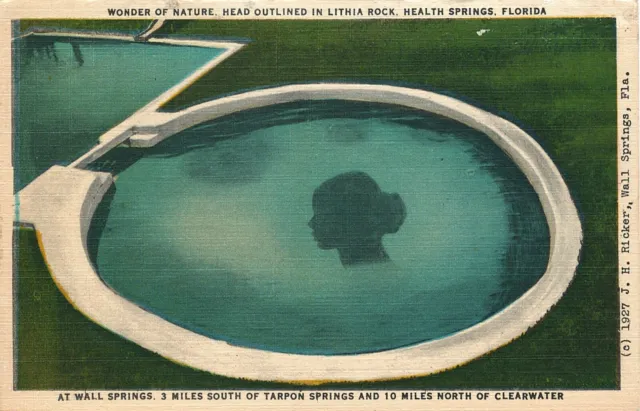 Vintage Postcard Head Outlined in Lithia Rock Health Springs FLORIDA