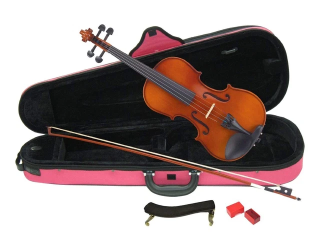 CARLO GIORDANO VIOLIN Set VS-1C 1/16 with Light Blue Case EUR 360