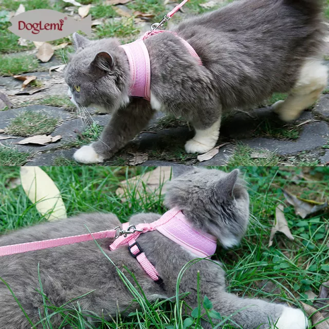 Meow Cat Harness and Leash Set,  Escape-Proof + Safe + Adjustable KittyCat Vest 3