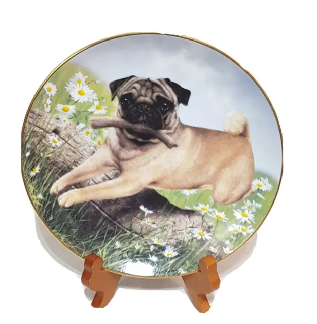Retired Danbury Mint Pug Limited Edition  Plate PUG IN PLAY by Simon Mendez