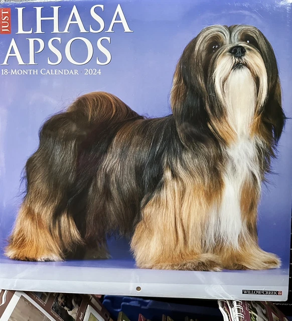 Lhasa Apso  Calendar 2024 Large Square Wall Calendar. New And Sealed.