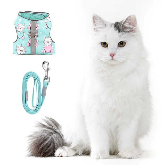 Imbracatura gatto animale domestico Xs gilet a piedi poliestere guinzaglio cane luminoso