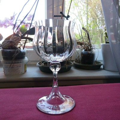 Verre à vin blanc en cristal  Daum modèle kim 