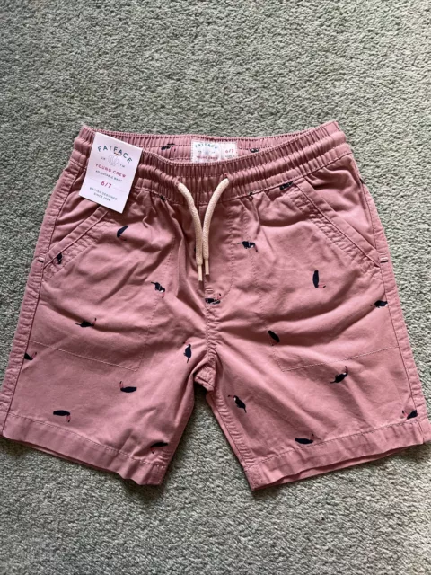 Clear out New 6-7yrs Boys Fat face Toucan Dusky Pink Cotton Chino Shorts