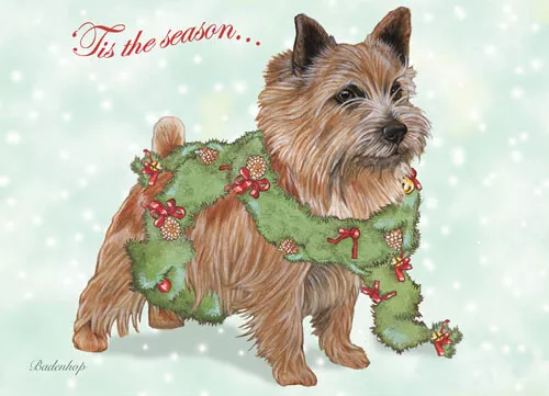 Norwich Terrier Christmas Cards Set of 10 cards & 10 envelopes