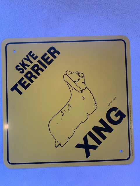 Vintage 1990 Sky Terrier XING Sing Aluminum 12" x 12"
