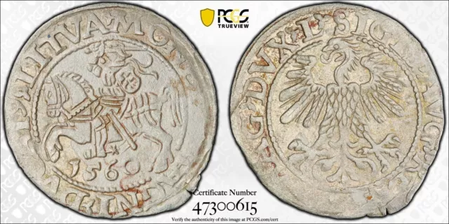 1560 Poland Lithuania 1/2 Groschen. PCGS AU Details. Almost UNC.