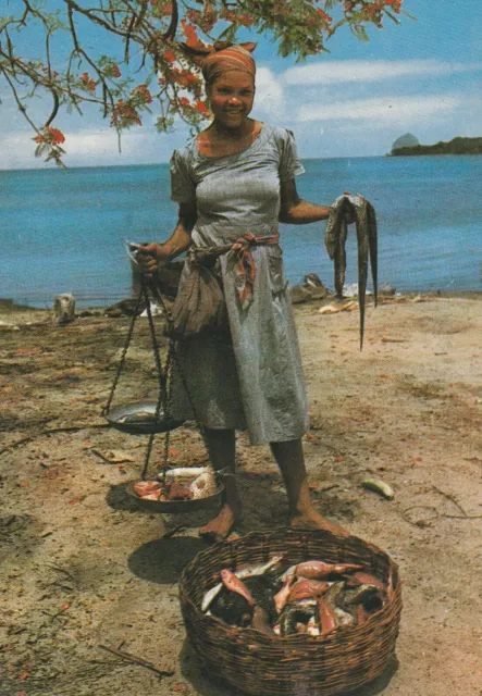 Cpsm Martinique Trois Rivieres Une Vendeuse De Poissons Bien Approvisionnee