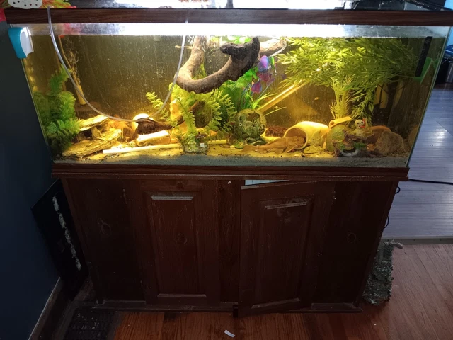 75 gallon Aquarium With stand