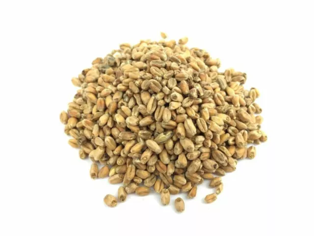 Malto di grano malto scuro malto da birra non tritato 1 kg birraio per hobby produzione birra