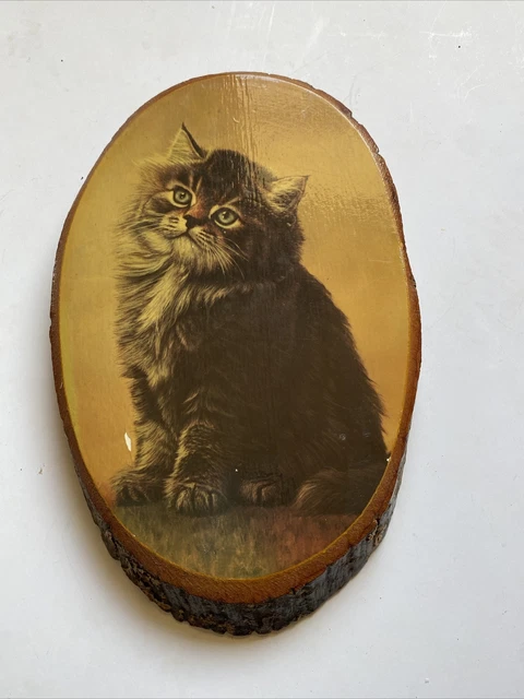 Lake Arrowhead CA Cat Kitten Kitty Plaque Wood Bark 5" Kitschy Crazy Adorable