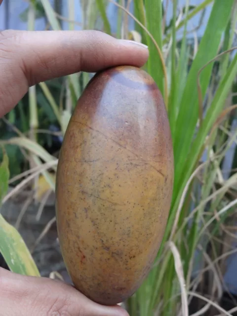 3.5"Shiva Lingam Stone Narmada River India Excellent Pure Special Lingham~I-2990 2