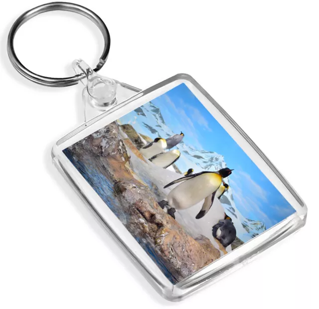 Majestic Emperor Penguin Keyring - IP02 - Antarctica Snow Birds Cute Gift #14329